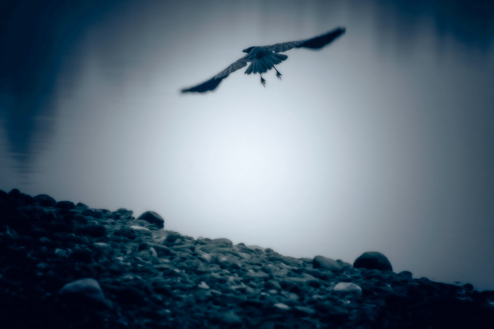 Platz 5 Conny Kleiner